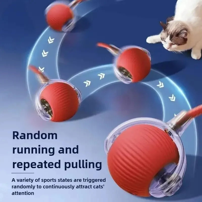 A cat playing with an interactive rolling toy ball that triggers running and repeated pulling.