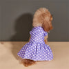 A small dog wearing a purple polka dot dress with a light skirt, shown from the back.
