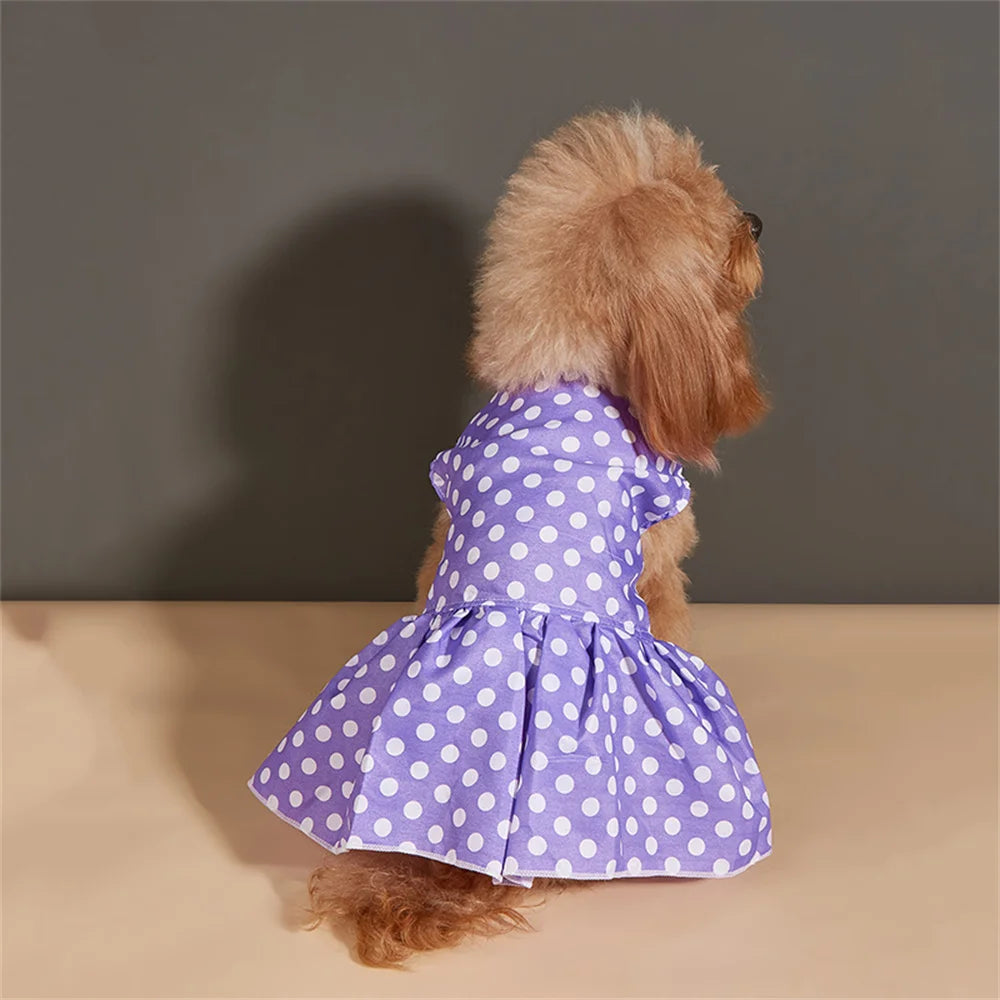 A small dog wearing a purple polka dot dress with a light skirt, shown from the back.