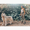 A woman is walking a fluffy white dog on a black leash in a wooded outdoor setting.