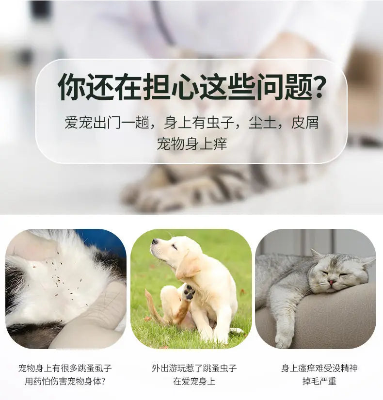 Image showing a mini pet grooming comb used for dogs and cats on a white background.