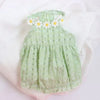 Robe de couronne florale vert clair pour petits chats