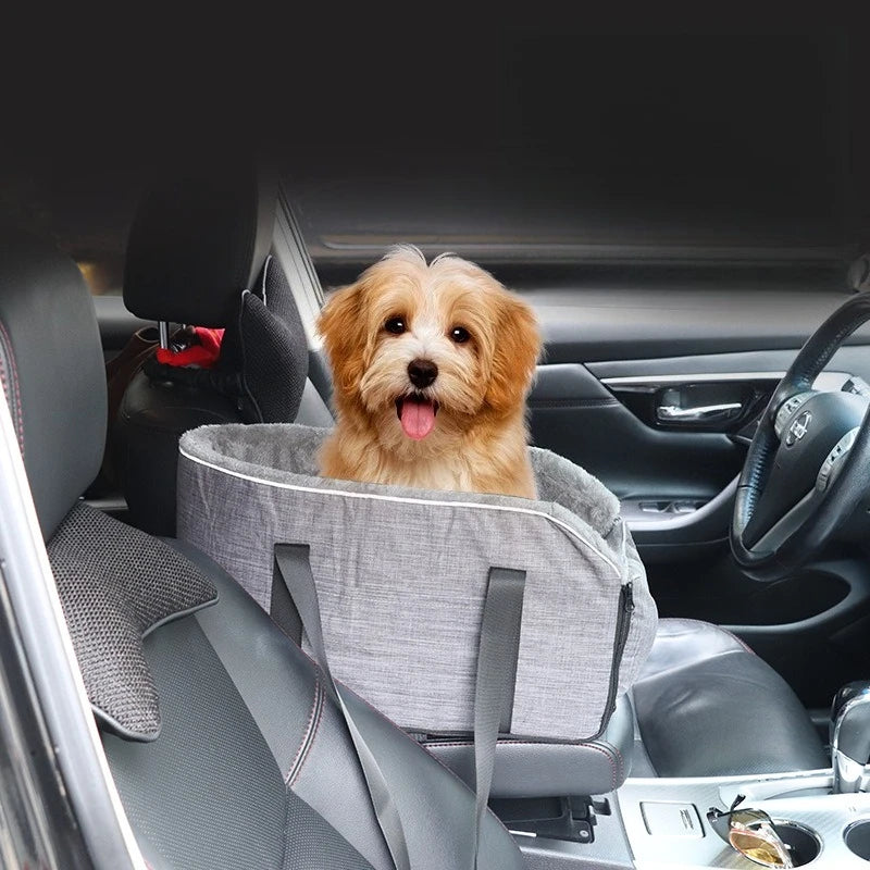 A fluffy golden-colored dog is sitting in a gray portable car bed inside a car.