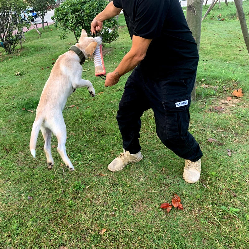 A person is playing tug of war with a light-colored dog using a jute training toy in a grassy outdoor area.