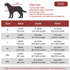 Size chart for a dog coat showing measurements for back chest and neck in various sizes S to 3XL