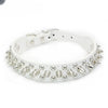 A white leather dog collar with silver spikes and a buckle closure.