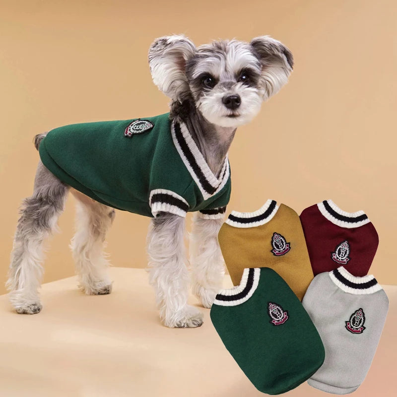 Un petit chien duveteux portant un pull vert à bordure blanche, à côté de plusieurs pulls pliés de différentes couleurs.