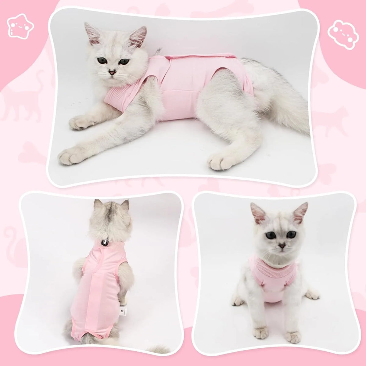 Flauschiger weißer Kater trägt einen rosa Genesungsanzug für Katzen nach einer Operation.