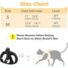 Diagram showing size measurements for a pet harness and leash set, including chest dimensions and leash lengths.