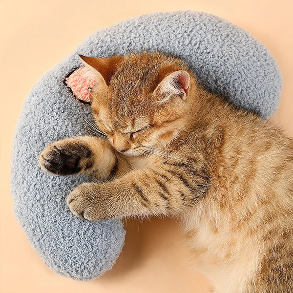 Un petit chaton tigré orange dort paisiblement sur un oreiller gris doux pour animaux.