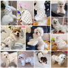 A collection of small dogs wearing various summer dot pet dresses and accessories.