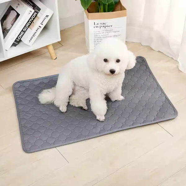 A white dog is sitting on a gray reusable washable training mat next to a potted plant and a bag of paper.