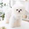 A fluffy white dog wearing a summer dress with a bow and butterfly skirt sitting on a white surface.