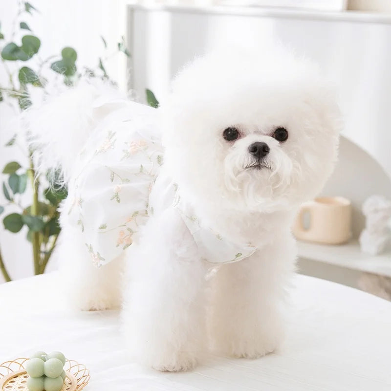 A fluffy white dog wearing a summer dress with a bow and butterfly skirt sitting on a white surface.
