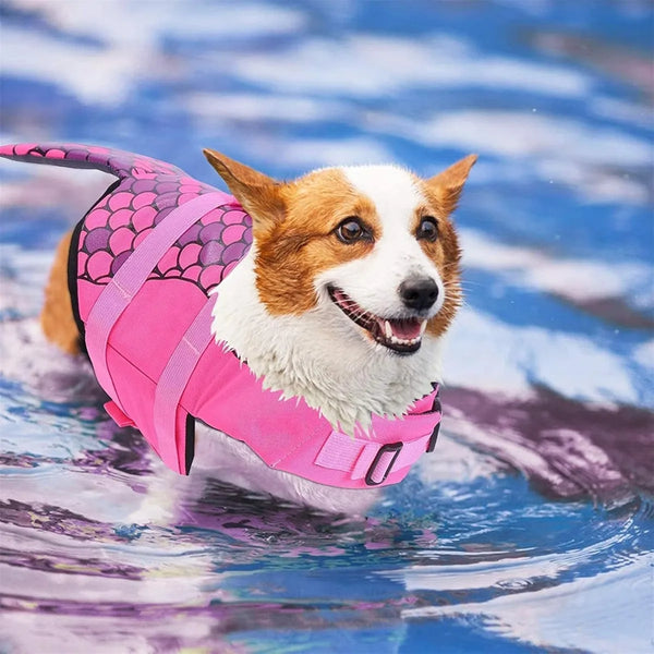 A happy dog wearing a pink mermaid style life jacket swimming in blue water.