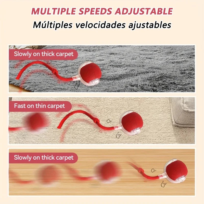 A red interactive motion sensor cat ball toy is shown moving across various carpet textures.