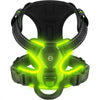 A black LED glowing dog harness designed for night walking.