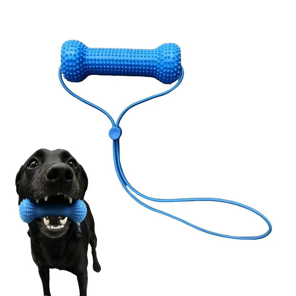 Blue dual-action dog dental chew toy with a rope for tugging