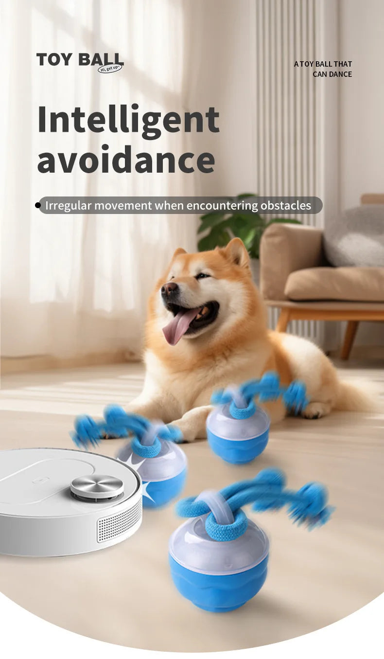 Ein blau-weißes rollendes Hundespielzeug mit Seil auf einem Holzfußboden neben einem Hund.