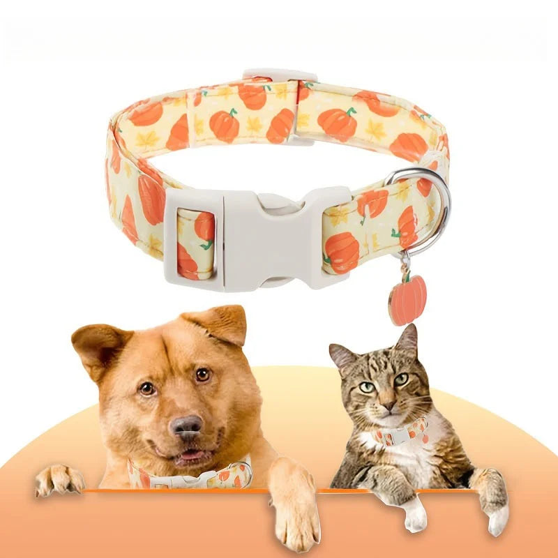 Collar decorativo de Halloween para cachorros, junto a un perro y un gato.