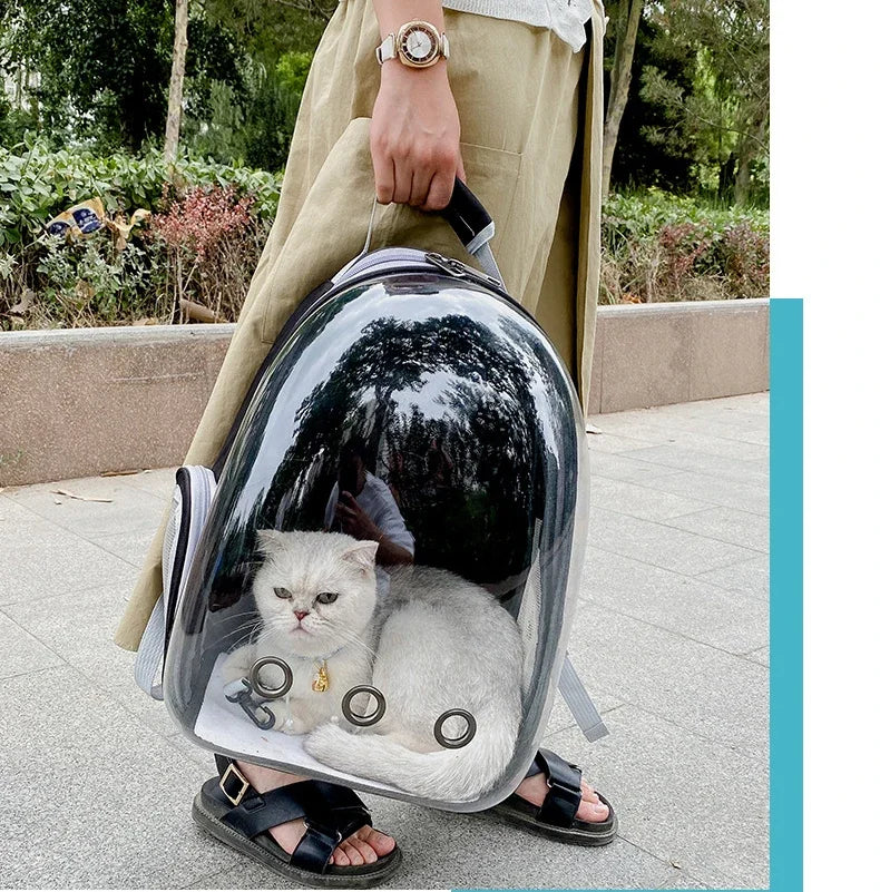 Una persona sostiene una mochila transportadora transparente para mascotas con un gato blanco dentro.