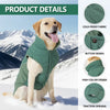 A golden retriever wearing a green cold-proof dog coat in a snowy mountain landscape.