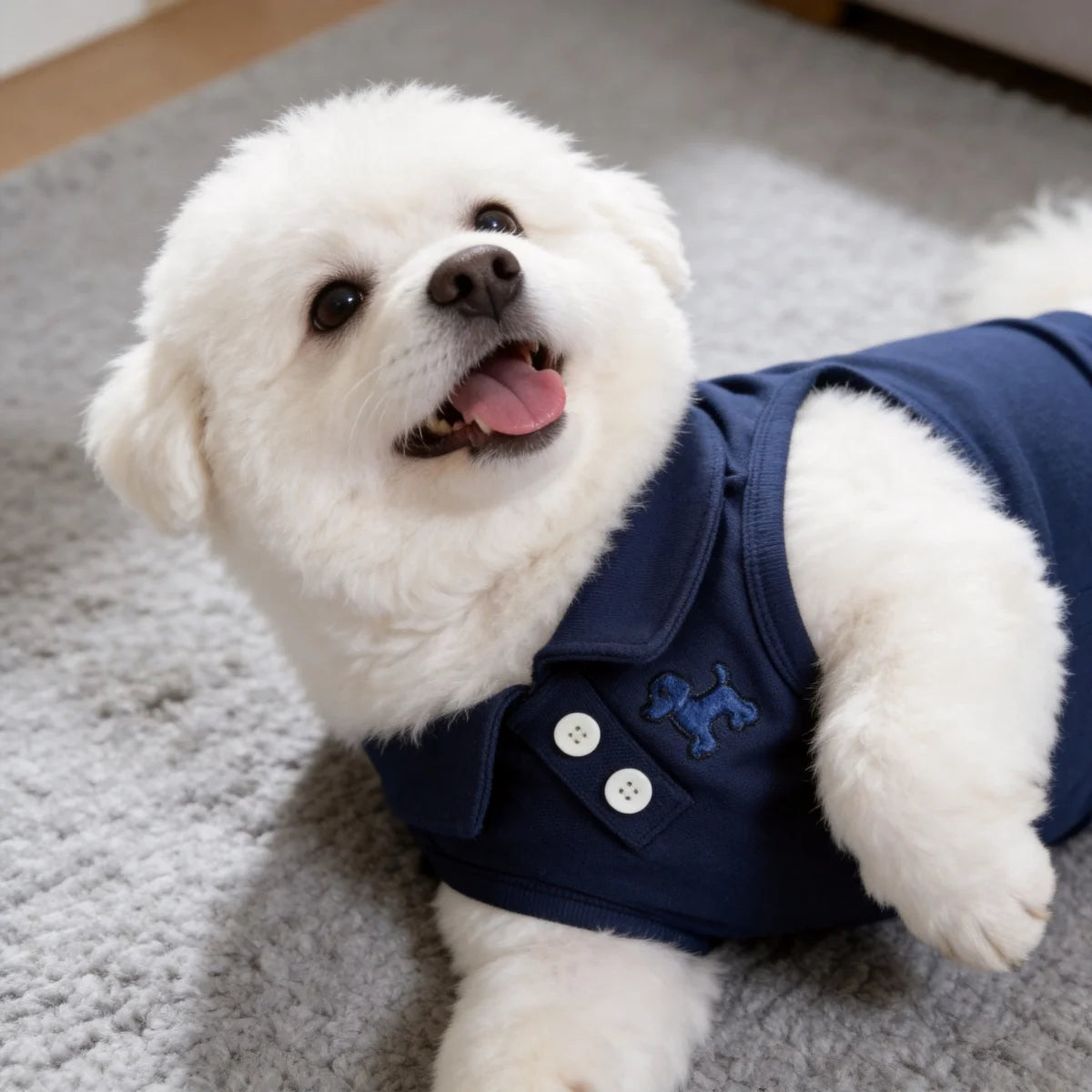 Un perro blanco esponjoso vistiendo un chaleco azul marino, sonriendo y mirando hacia arriba.