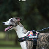 A dog wearing a black service dog harness outdoors, with text highlighting features like adjustability and water washability.