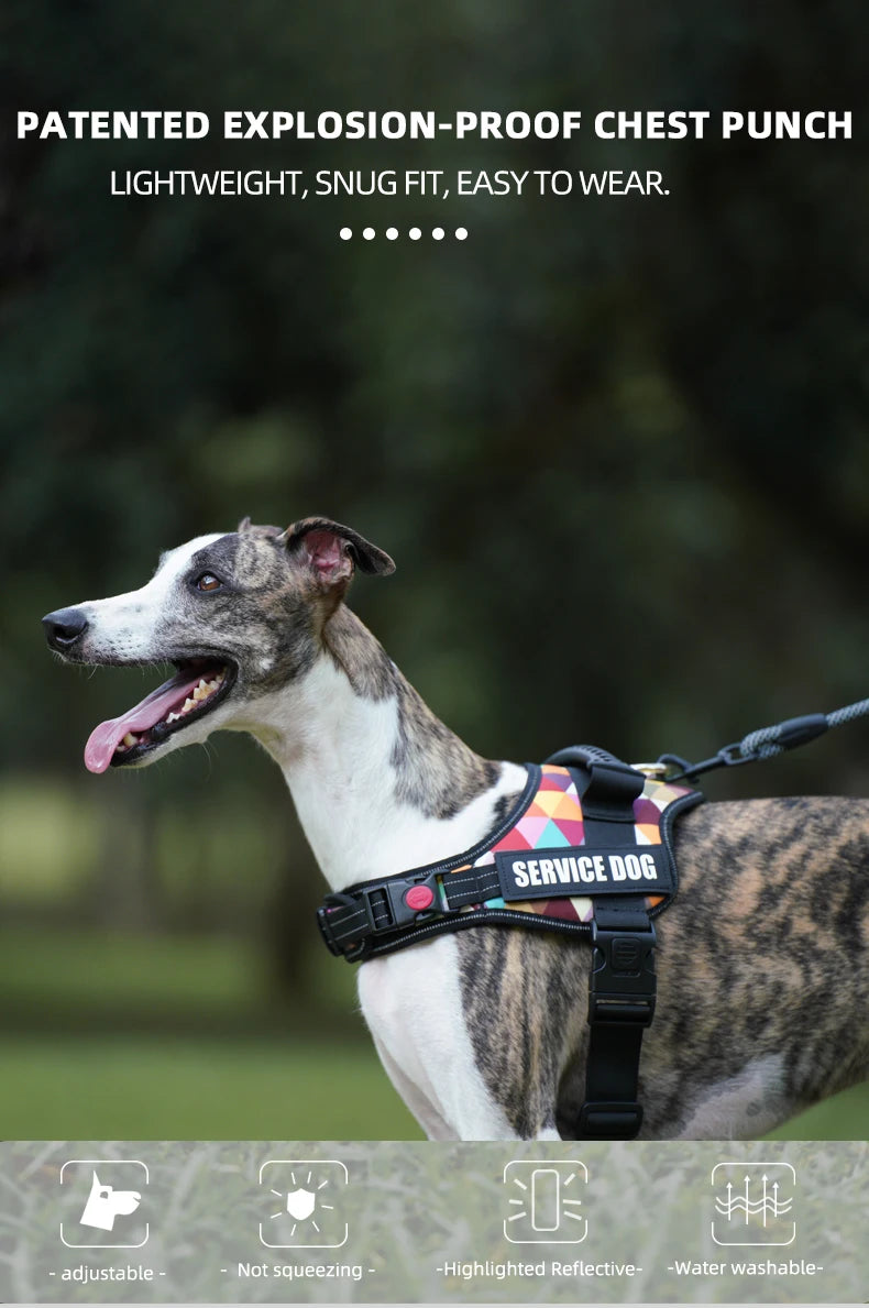 A dog wearing a black service dog harness outdoors, with text highlighting features like adjustability and water washability.