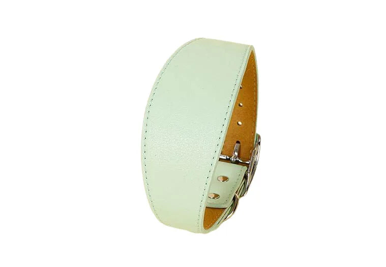 A light mint green wide leather dog collar with a tan leather strap and silver buckle.