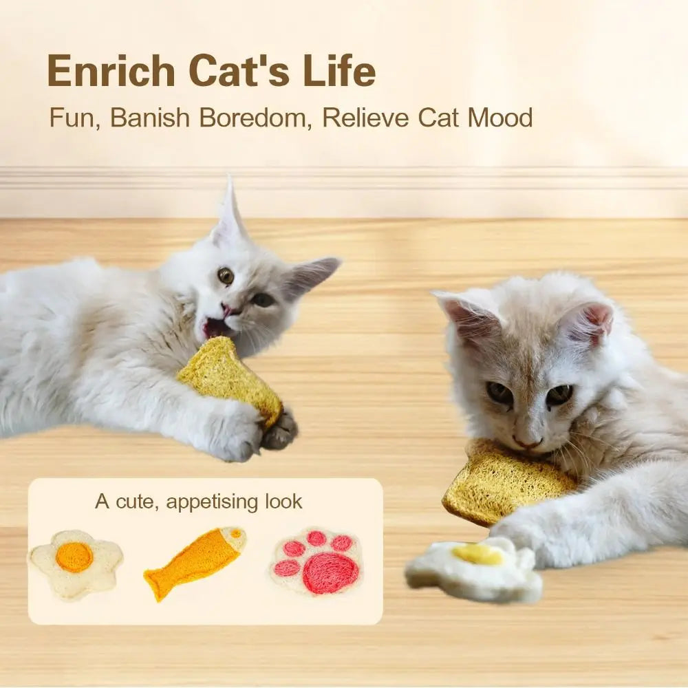 A kitten is playing with natural loofah cat chew toys and catnip treats on a wooden surface.