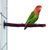 Un perroquet vert et rouge perché sur un perchoir en bois naturel.