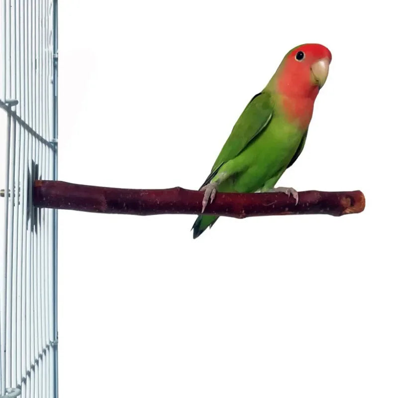 Un perroquet vert et rouge perché sur un perchoir en bois naturel.