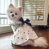 Flauschiger weißer Hund mit schwarzer Schleife und weißem Kleid mit Herzmuster