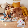 A large golden retriever dog is interacting with a child and an interactive pet toy on the floor.