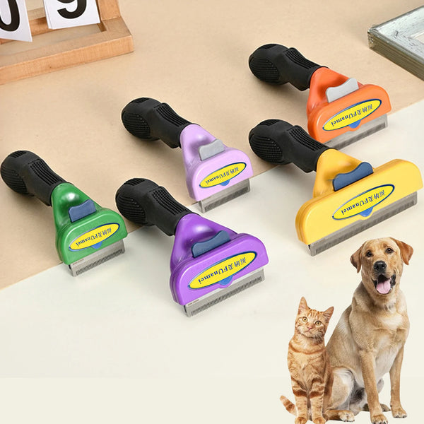 A collection of pet deshedding brushes in various colors, including black, purple, green, and yellow, shown next to a dog and