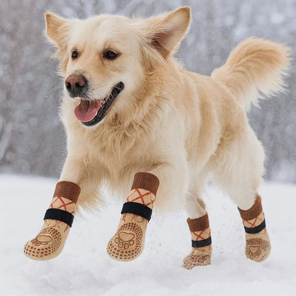 A light-colored dog is standing in the snow wearing knitted anti-slip socks.