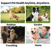 Vier Bilder, die Unterstützung für die Tiergesundheit in Outdoor-, Garten-, Reise- und Heimumgebungen zeigen.
