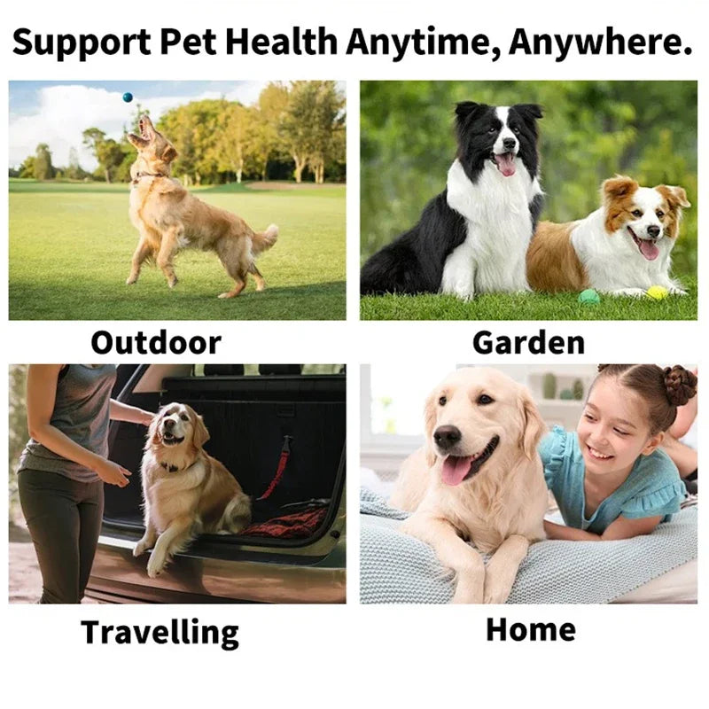 Vier Bilder, die Unterstützung für die Tiergesundheit in Outdoor-, Garten-, Reise- und Heimumgebungen zeigen.