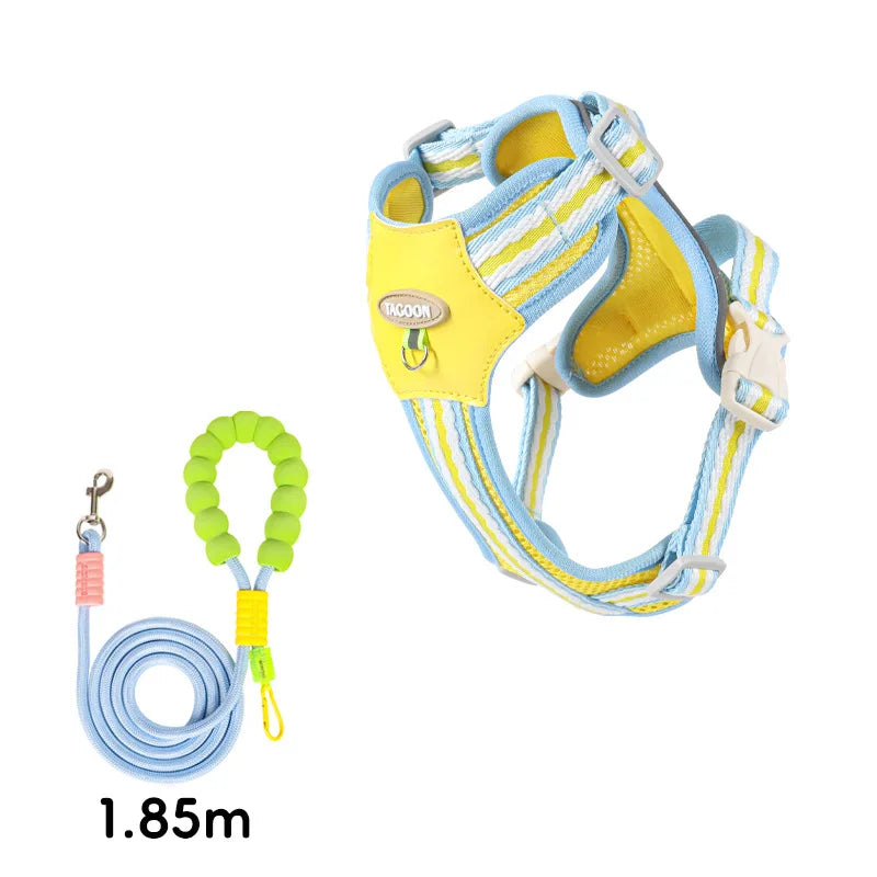 A yellow and blue adjustable dog harness with reflective straps is shown next to a coiled leash.