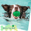 Un perro feliz juega con una pelota de juguete de agua verde en el agua del océano.