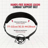 Black hands-free bungee leash and lumbar support belt for dog walking
