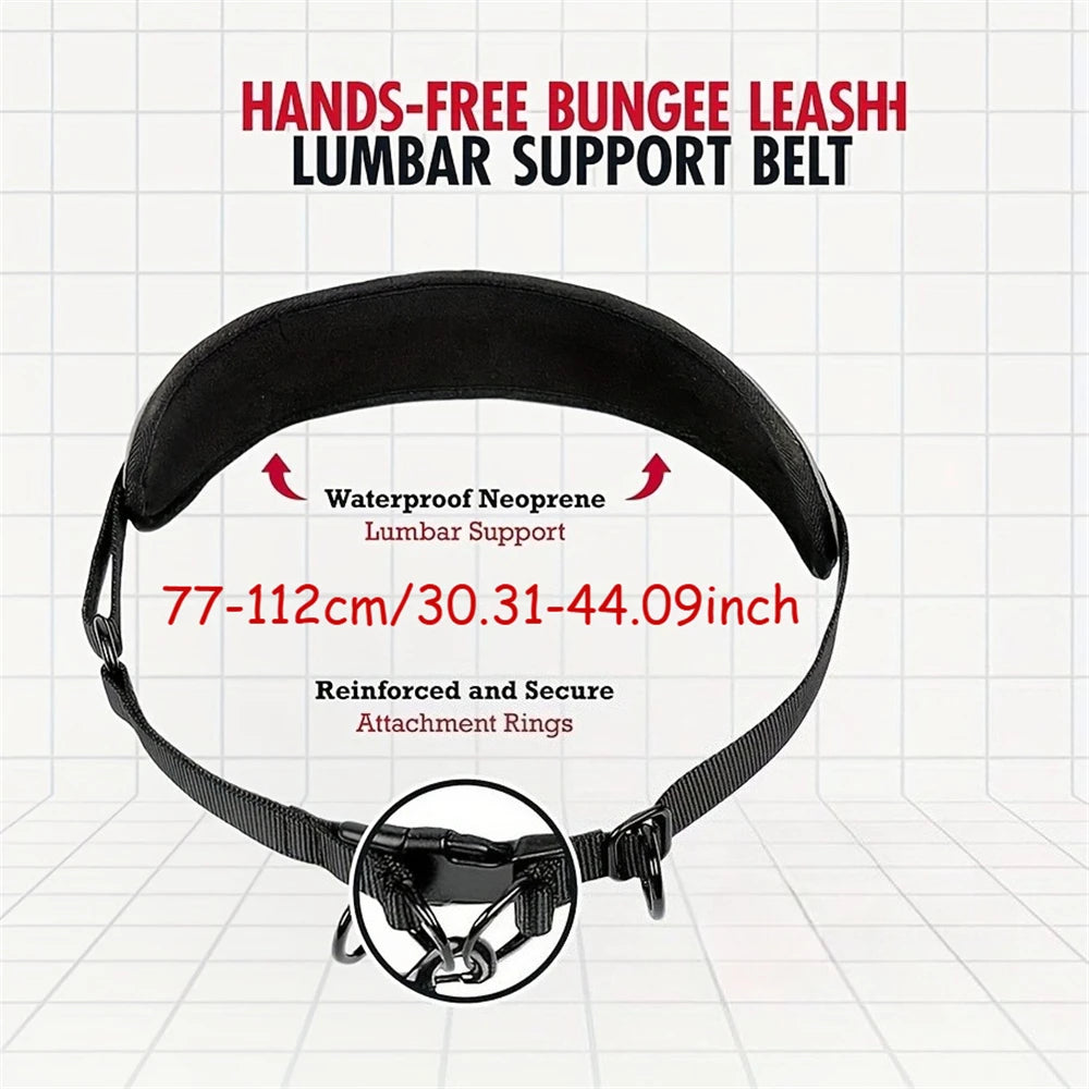 Black hands-free bungee leash and lumbar support belt for dog walking