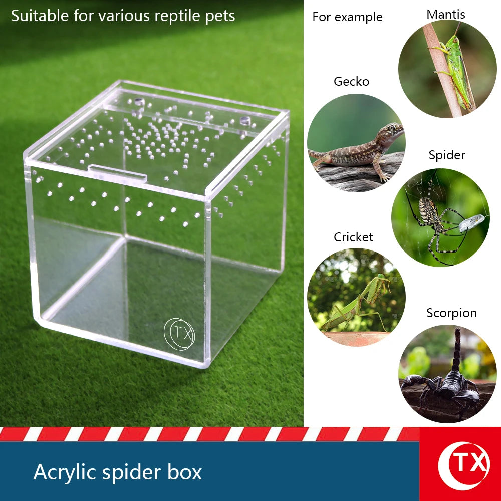 Caja de acrílico transparente para arañas apta para reptiles como geckos, arañas, grillos y escorpiones.