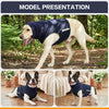 A dog wearing a dark blue calming anxiety vest is shown outdoors, alongside a British Bulldog wearing the same vest.