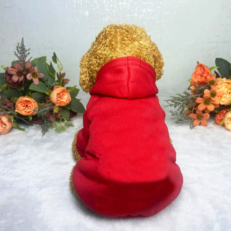 A bright red hoodie with a gold fluffy hood rests on a white surface surrounded by dried flowers and greenery.