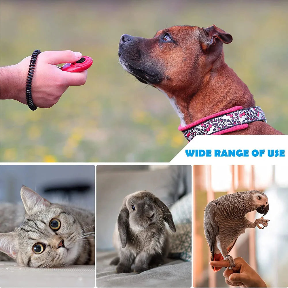 Un chien brun portant une harnais rose est montré à côté de mains tenant un clicker rouge, un chat et un petit rongeur.