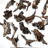 Eine Sammlung einzigartiger, einzelner Natur-Driftwood-Stücke zur Dekoration für Aquarien und Terrarien.