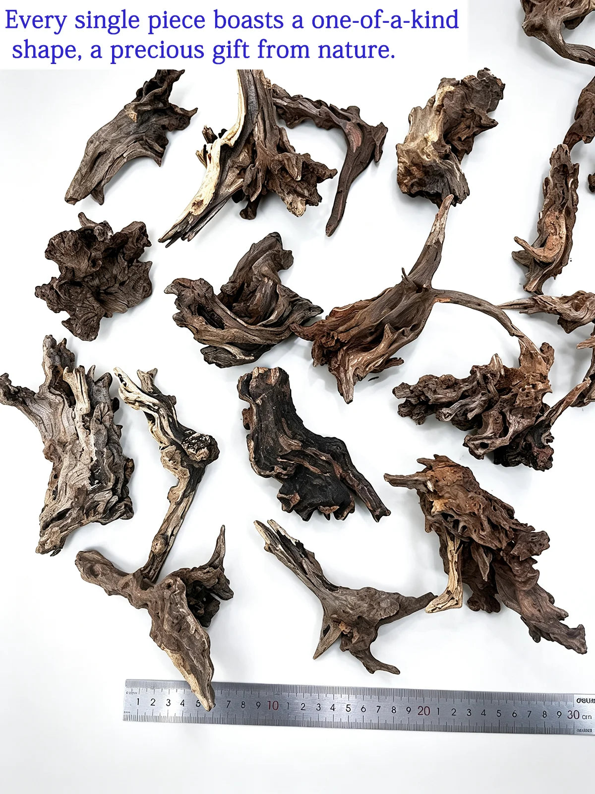 Eine Sammlung einzigartiger, unvergleichlicher Stücke natürliches Treibholz als Dekoration für Aquarium und Terrarium.
