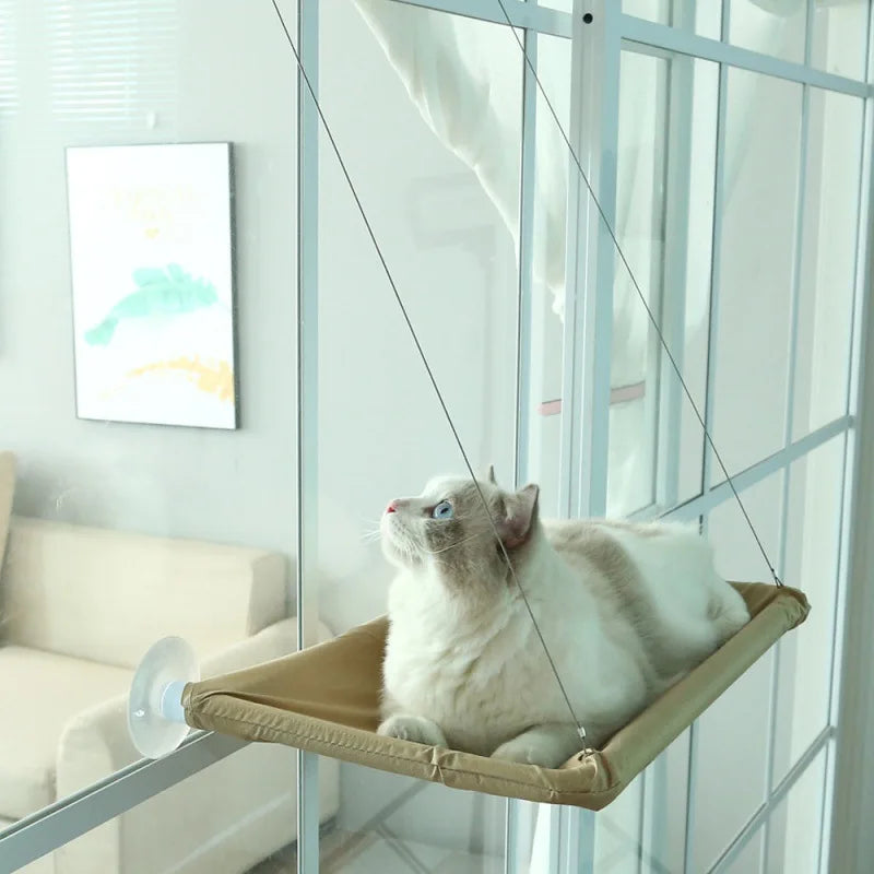 A white cat is resting in an aerial hammock pet bed inside a glass enclosure.